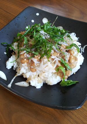 簡単♪じゃこ納豆丼-レシピのメイン写真
