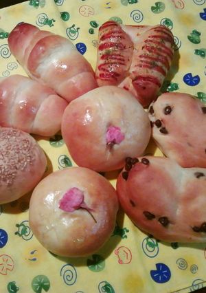 酒粕ミルクで基本のパン生地♪-レシピのメイン写真