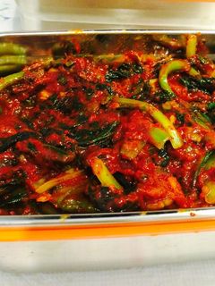 小松菜キムチ-レシピのメイン写真