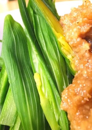 アマドコロの穂先のゴマ味噌添え-レシピのメイン写真