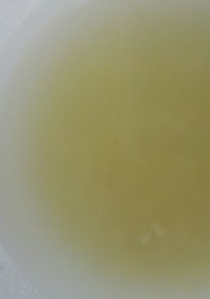 ✾離乳食　林檎とさつま芋のオートミール✾-レシピのメイン写真