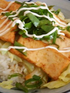 キャベツと厚揚げの甘辛丼-レシピのメイン写真
