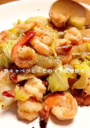 春キャベツとエビのマヨ味噌炒め。-レシピのメイン写真