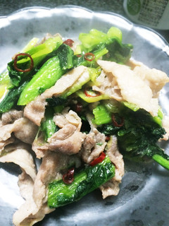豚肉と小松菜の炒め物-レシピのメイン写真