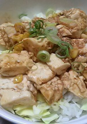 豆腐ソース丼-レシピのメイン写真