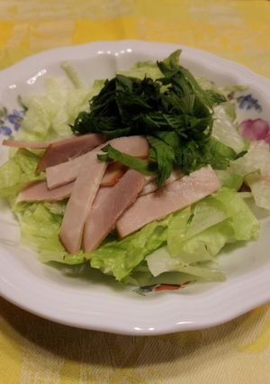 シソの消費に☆簡単サラダ-レシピのメイン写真