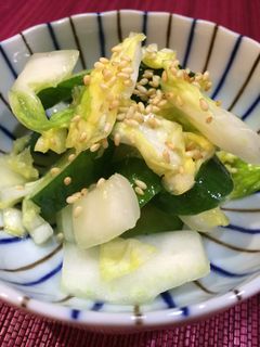 塩レモンで浅漬け-レシピのメイン写真