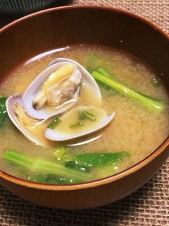 アサリと菜の花とネギのお味噌汁-レシピのメイン写真