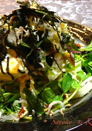 ワカメたっぷり豆苗と豆腐のサラダ-レシピのメイン写真