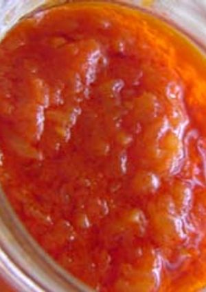 salsa de tomate-レシピのメイン写真