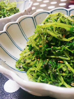 栄養満点♪豆苗の黒ごま合え★-レシピのメイン写真