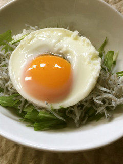 犬ごはん・初心者向1分で完了しらす温玉丼-レシピのメイン写真