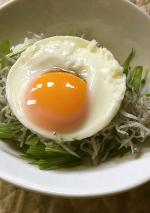 犬ごはん・初心者向1分で完了しらす温玉丼-レシピのメイン写真