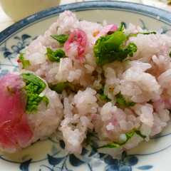 A picture of 春色菜の花ちらしすし.
