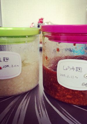 一度に2種!超簡単!手作り塩麹と醤油麹★-レシピのメイン写真