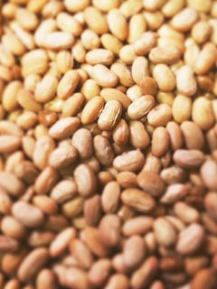 こたつで手作り納豆-レシピのメイン写真