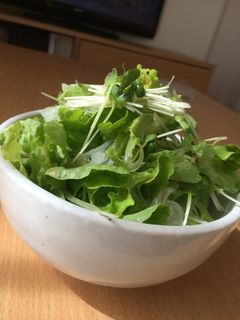 サラダ塩ラーメン-レシピのメイン写真