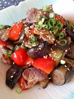 豚肉と茄子の中華炒め☆花椒でアクセント☆-レシピのメイン写真