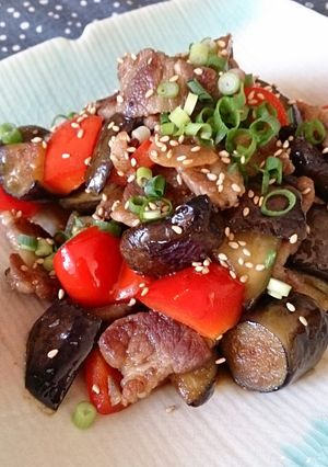 豚肉と茄子の中華炒め☆花椒でアクセント☆-レシピのメイン写真