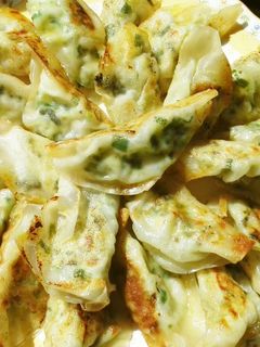 パリパリ餃子高菜入り-レシピのメイン写真