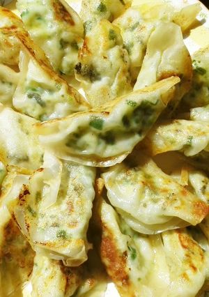 パリパリ餃子高菜入り-レシピのメイン写真