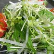 我が家の定番!大根 水菜 貝割れサラダ