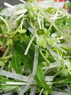 我が家の定番!大根 水菜 貝割れサラダ-レシピのメイン写真