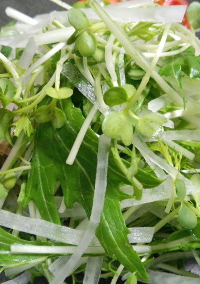 我が家の定番！大根 水菜 貝割れサラダ-レシピのメイン写真
