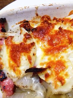 新玉ねぎのチーズ焼き-レシピのメイン写真