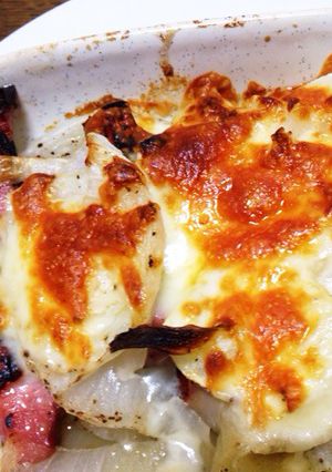 新玉ねぎのチーズ焼き-レシピのメイン写真