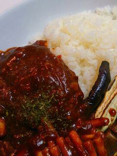 ハヤシ?な煮込みハンバーグご飯と共に~-レシピのメイン写真