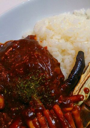 ハヤシ？な煮込みハンバーグご飯と共に～-レシピのメイン写真