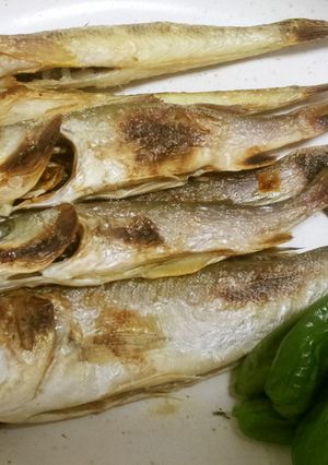 簡単すぎてスイマセン…セイゴの塩焼き-レシピのメイン写真