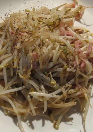 もやし炒め-レシピのメイン写真