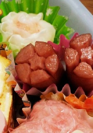 ウィンナーを星型で可愛いお花♪キャラ弁♡-レシピのメイン写真