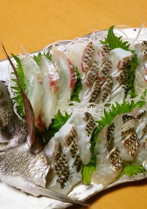 チヌ(クロダイ)の活け造り-レシピのメイン写真