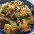 焼肉のタレで簡単豚肉と長ネギ卵の炒め物