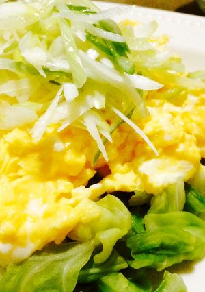 春キャベツと卵の白髪ネギがけごま油風味-レシピのメイン写真