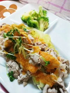 春キャベツの豚しゃぶサラダ-レシピのメイン写真