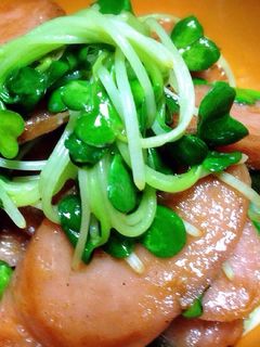 ✽魚ニソとかいわれ大根のマヨ炒め✽-レシピのメイン写真