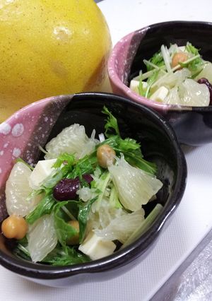 水菜とザボンのさっぱりサラダ-レシピのメイン写真