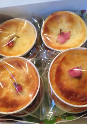 桜咲いた日に届けたいチーズケーキ-レシピのメイン写真