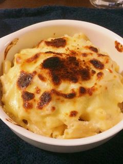 マカロニグラタン-レシピのメイン写真