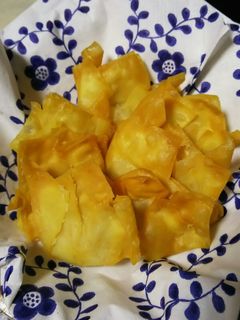 おつまみにソフトいかの揚げワンタン-レシピのメイン写真