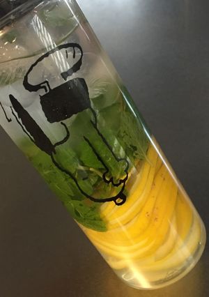 デトックスウォーター レモン&ミント-レシピのメイン写真