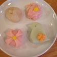 春の和菓子♬