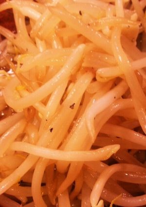 酢もやし ～肉料理の付け合わせに～-レシピのメイン写真