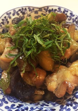 簡単！なすと鶏のさっぱりべんりで酢煮-レシピのメイン写真