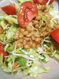 簡単☆わさびドレッシングの納豆サラダ-レシピのメイン写真