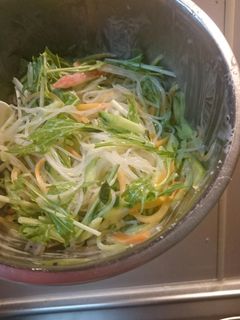 給食✲マイルド春雨サラダ-レシピのメイン写真